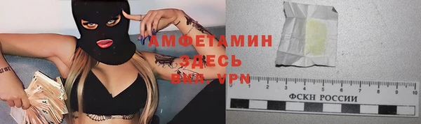 сатива Белокуриха