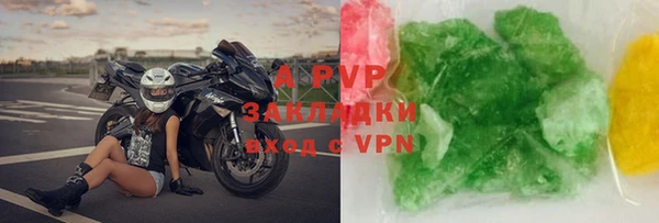 сатива Белокуриха
