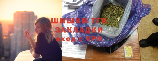 сатива Белокуриха